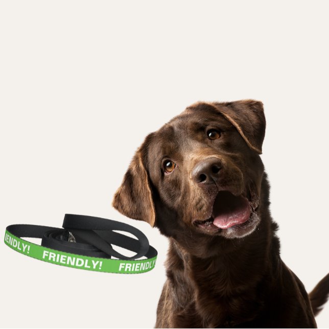 Green Dog Leash for Friendly Dogs (Green friendly dog leash)