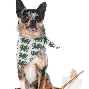 Green Dragon Bandana