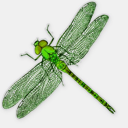 Green Dragonfly Contour Sticker