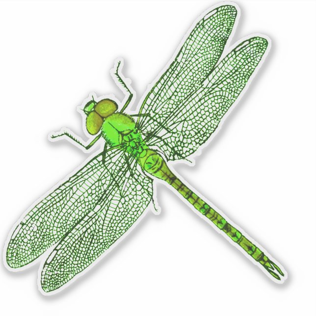 Green Dragonfly Contour Sticker (Front)