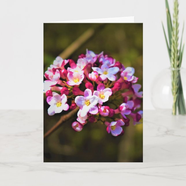 Green Earth, card (Front)