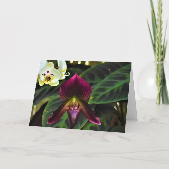 Green Earth, card (Front)