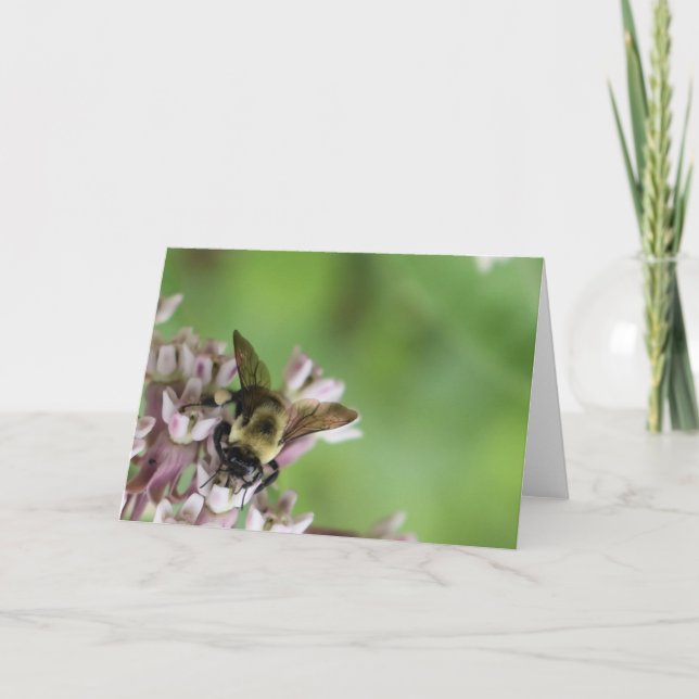 Green Earth Card (Front)