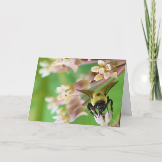 Green Earth Card (Front)