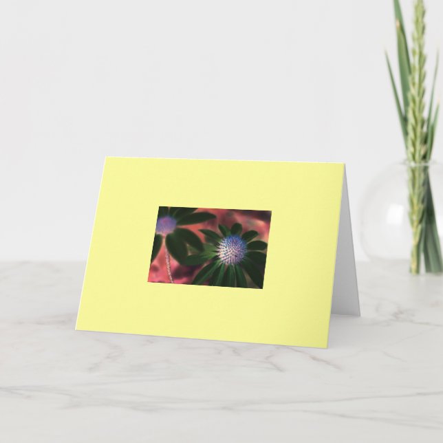 "Green Echinacea #1" Card (Front)