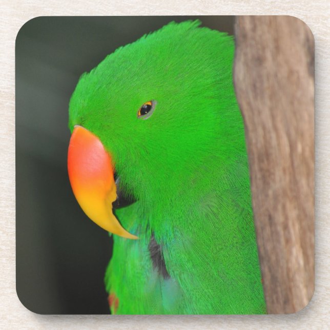 Green eclectic parrot coaster (Front)