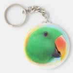 Eclectus Parrot Realistic Painting Keychain