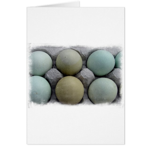 Green Eggs Cards (Front)
