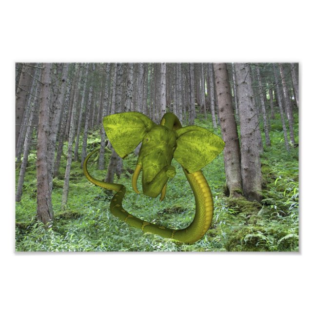 Green Elephant Snake Photo Print (Front)