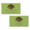Green eternal oak tree elegant style nature