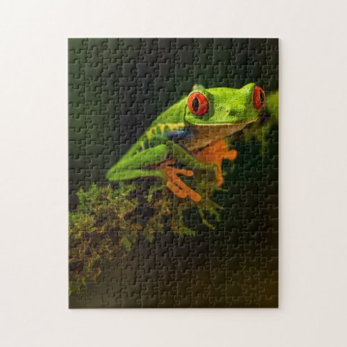 Green Exotic Summer Frog Reptile with red eyes Jigsaw Puzzle