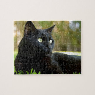 Green Eyed Black Cat Enjoying the Outdoors Jigsaw Puzzle