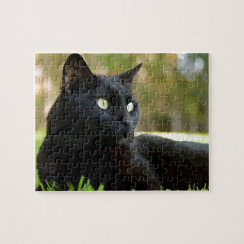 Green Eyed Black Cat Enjoying the Outdoors Jigsaw Puzzle