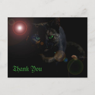 green eyed black cat on black thank you postcard