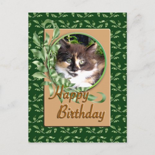 Green Eyed Calico Kitten Birthday Postcard