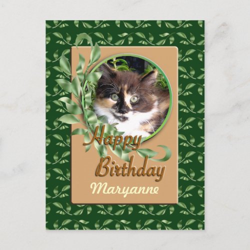 Green Eyed Calico Kitten Happy Birthday Postcard