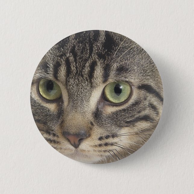 Green Eyed Cat Button (Front)