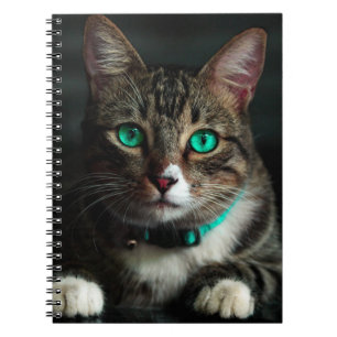 Green Eyed Cat Notebook