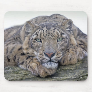 Green-Eyed Gaze Mousemat Mouse Pad