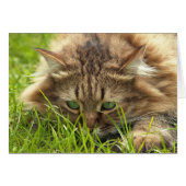 Green Eyed Hunter (Front Horizontal)