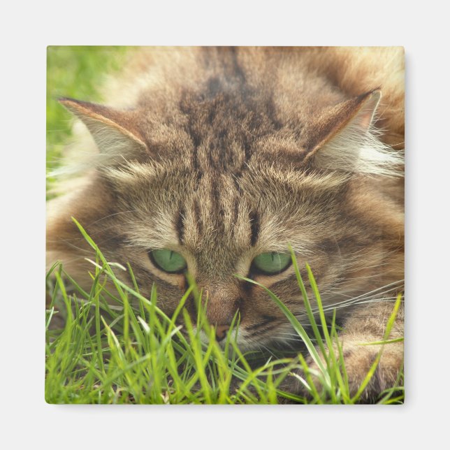 Green Eyed Hunter Magnet (Front)