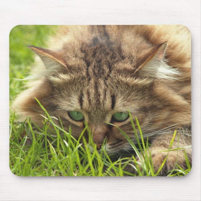 Green Eyed Hunter Mouse Pad (Front)