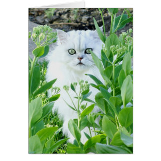 Green Eyed Monster Cards