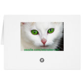 Green Eyed White Cat (Back Horizontal)