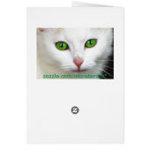 Green Eyed White Cat (Back)