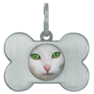 Green Eyed White Cat Pet Tag