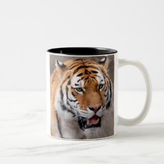 green eyed wonder Two-Tone coffee mug