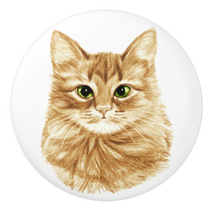 Green Eyes Ginger Cat Drawer Pulls Knobs