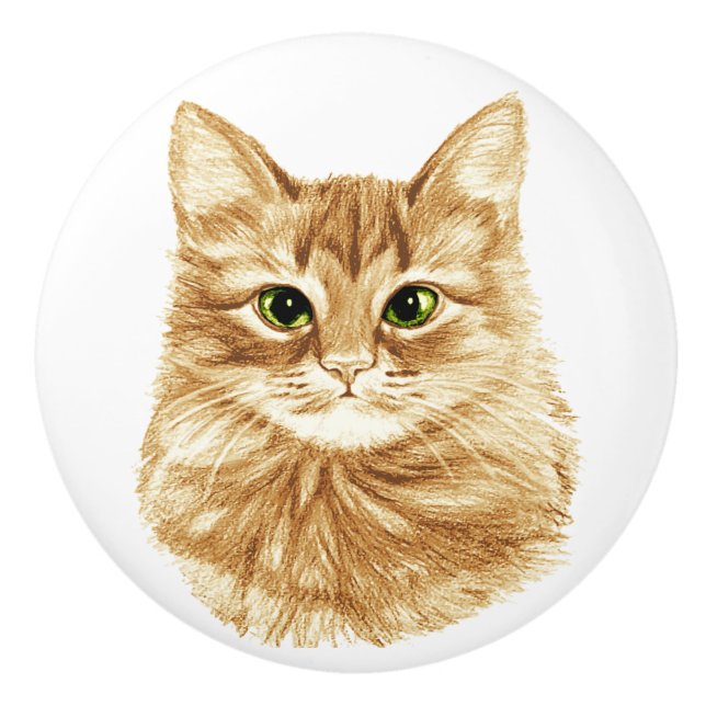 Green Eyes Ginger Cat Drawer Pulls Knobs (Front)
