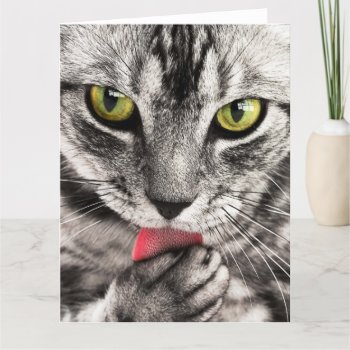 Green Eyes Tabby Cat Cute Big Blank Greeting Card by roughcollie at Zazzle