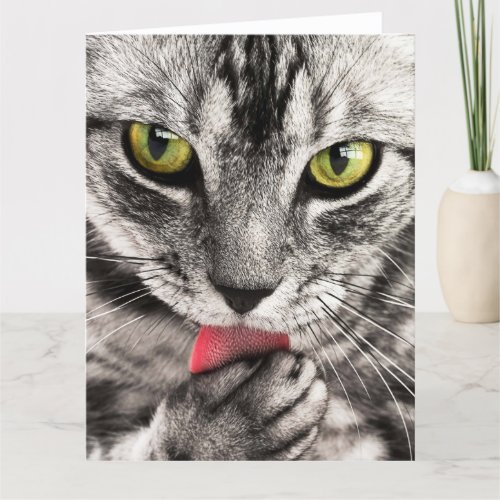 Green eyes tabby cat cute big blank greeting card