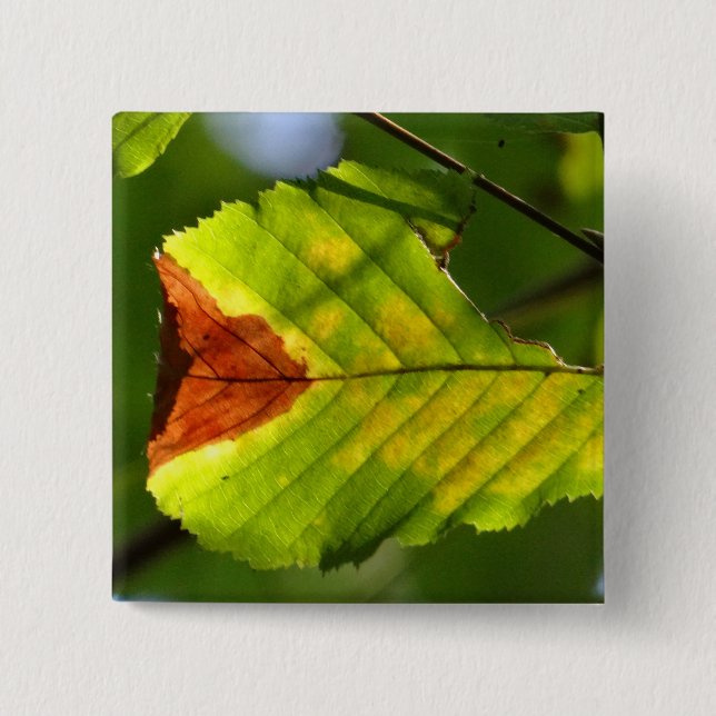Green Fall Leaf Button (Front)