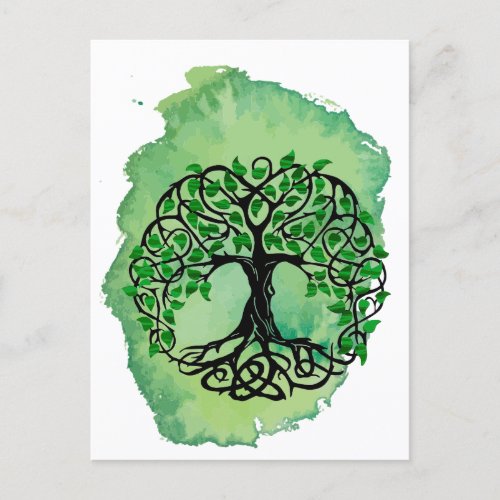 Green  Family Tree Postcard
