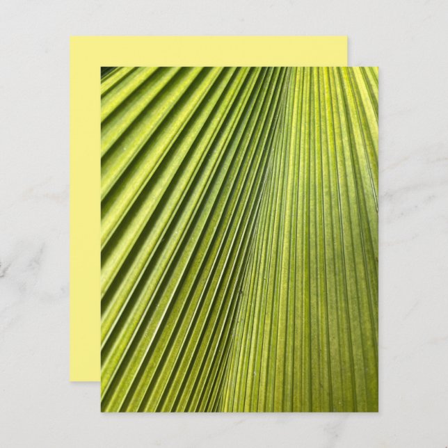 Green Fan Palm Frond Scrapbook Paper (Front/Back)