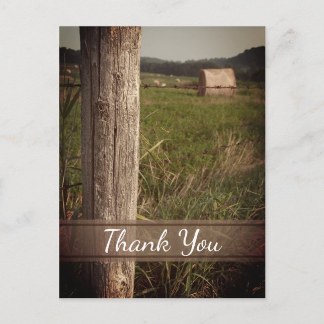 Green Farm Pastures Thank You Postcard (Front)