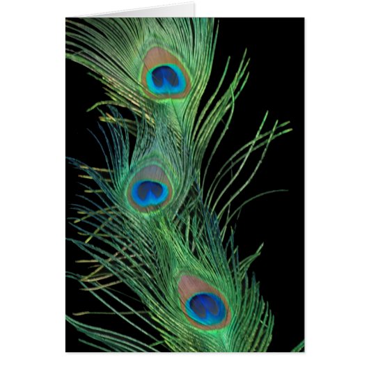 Green Feathers with Black Cards (Front)