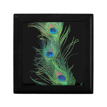 Green Feathers With Black Keepsake Box by Peacocks at Zazzle