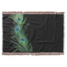 Green Feathers with Black Sill Life
