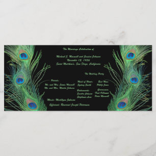 Green Feathers with Black Wedding Program