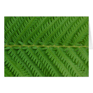 Green Fern Cards
