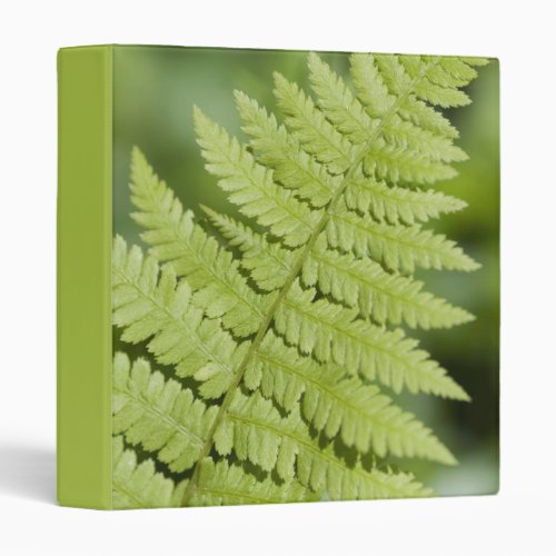 Green Fern Frond 3 Ring Binder