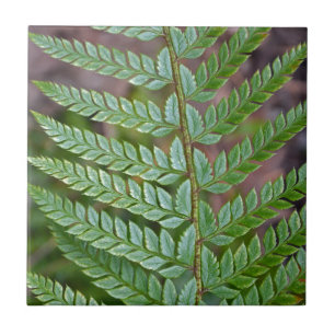 Green fern leaf pattern ceramic tile