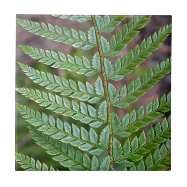 Green fern leaf pattern ceramic tile (Front)