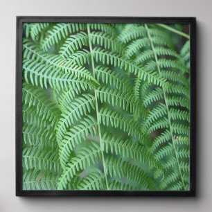 Green Fern Leaves Natural Pattern Poster Peel And Stick Photo Tile