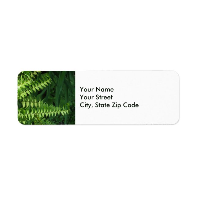 Green Fern Leaves Nature Photo Label (Front)