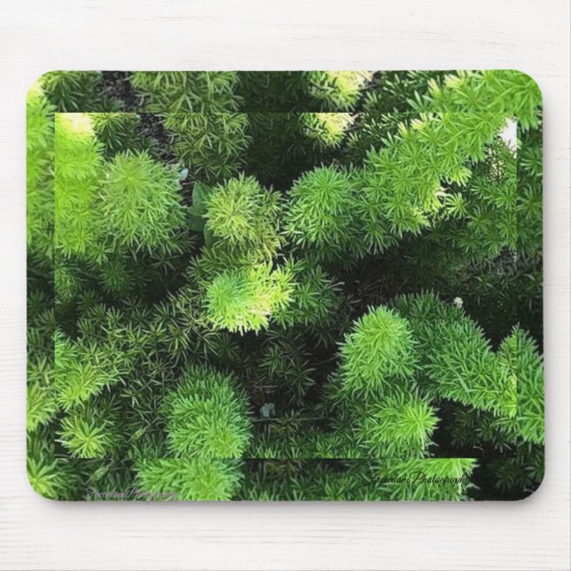 Green Fern Mouse Pad (Front)